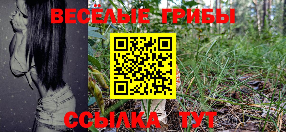 Галлюциногенные грибы MAGIC MUSHROOMS  Галлюциногенные грибы GOLDEN TEACHER  Вход с VPN  Кулебаки 