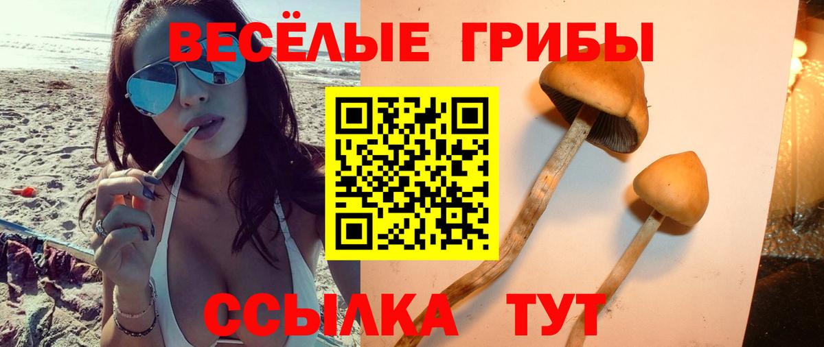 Псилоцибиновые грибы прущие грибы Кулебаки